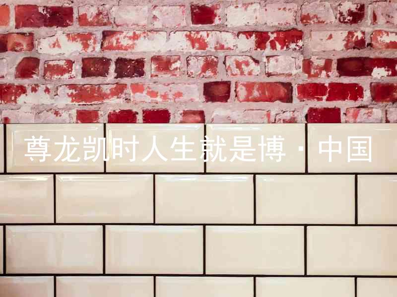 尊龙凯时人生就是博·中国