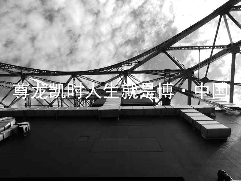 尊龙凯时人生就是博·中国